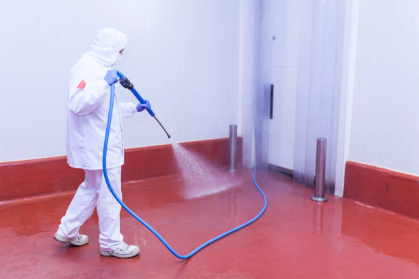 Best Building Exterior Pressure Washing in Hillburn, NY